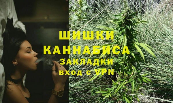 spice Горнозаводск